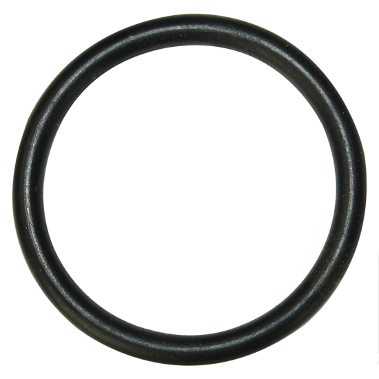 Picture of O-Ring f/LLP15
