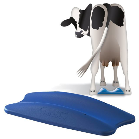 Picture of Ambic Cow Position Locator - Blue