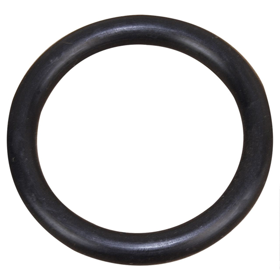 Picture of O-Ring