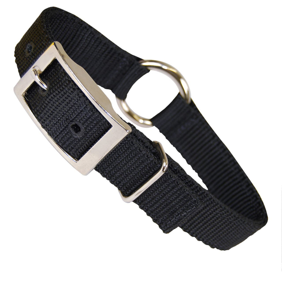 Picture of 1" Wide Dog Collar with Ring