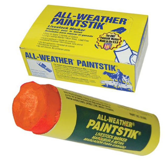 Picture of All-Weather Paintstik - Box/12 - Fluorescent Orange
