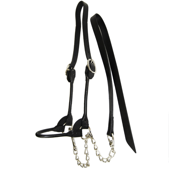 Picture of Round Strap Show Halter, Size Extra Large