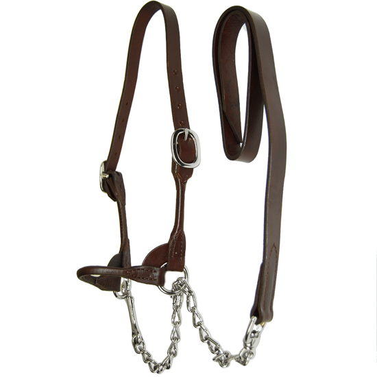 Picture of Round Strap Show Halter Size Small