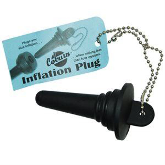 Picture of Inflation Shutoff Plug w/Chain & Label