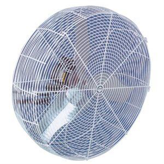Picture of 24" Barnstormer Fan - Variable Speed