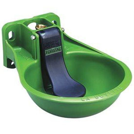 Picture of Forstal Paddle Water Bowl w/Label