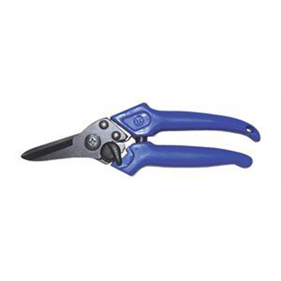 Picture of Lightweight Foot Rot Shear