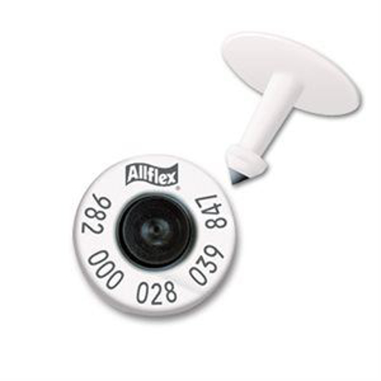 Picture of Ultra White HDX982 EID Eartags--pk/20