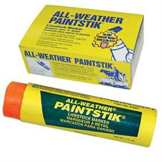 All-Weather Paintstik - Box/12 - Orange