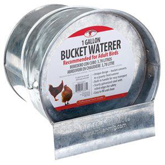 Picture of Galvanized Bucket Waterer--1 Gallon