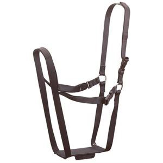 Picture of Ewe Marking Harness