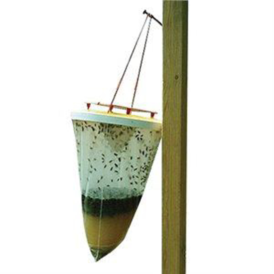Picture of FLIESbeGONE Non-Toxic Fly Trap
