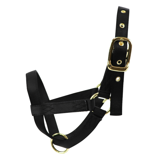 Picture of Yearling Turn-Out Halter