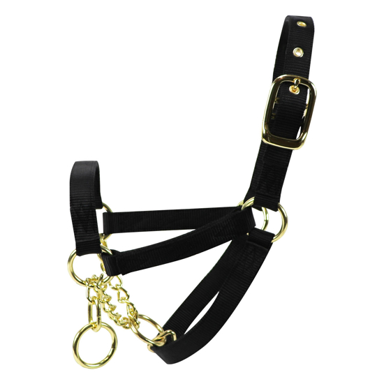 Picture of Yearling Control Halter