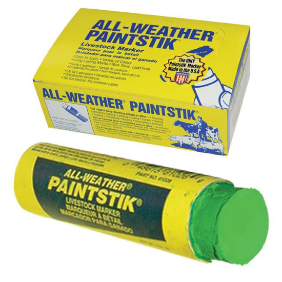 Picture of All-Weather Paintstik - Box/12 - Fluorescent Green