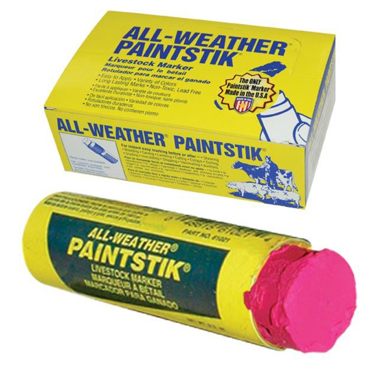 Picture of All-Weather Paintstik - Box/12 - Fluorescent Pink
