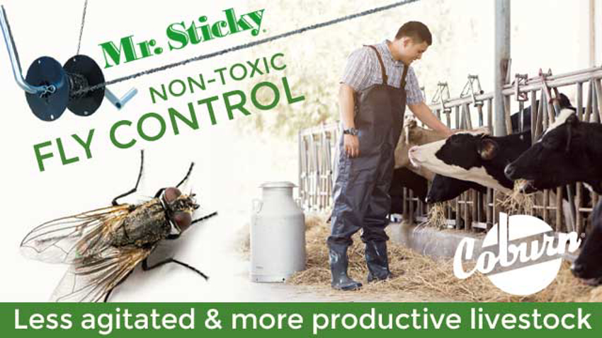 Mr. Sticky - Non-toxic Fly Control for Cattle, Livestock and Anywhere Flies are a Problem