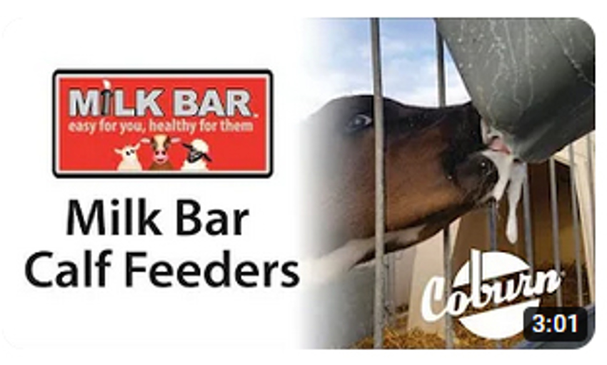 Video: Milk Bar Calf Feeders