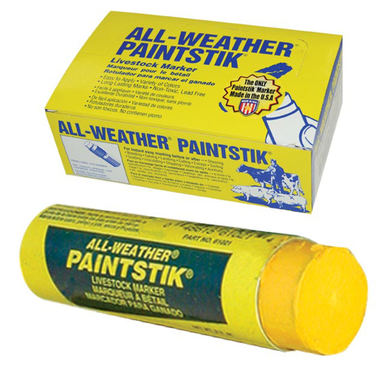 All-Weather Paintstik - Box/12 - Yellow