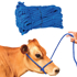 Bulk PolyPro Cow Halter--Blue