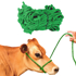 Bulk PolyPro Cow Halter--Green