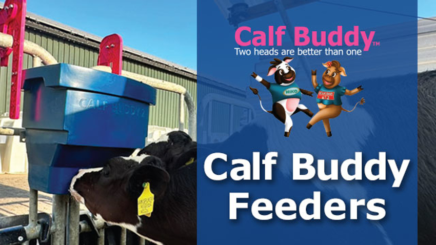 Calf Buddy Feeders Features