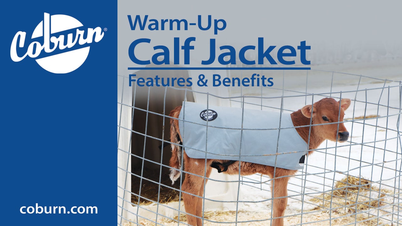 Coburn Warm-Up Calf Jackets