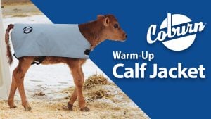 Coburn Warm Up Calf Jacket