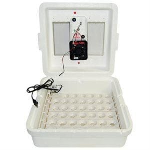 11300 11300 (EA) - Miller Digital-Control Circulated-Air Incubator w/Egg Turner