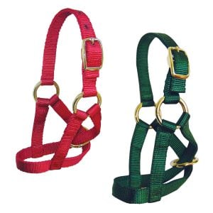 Medium Goat Halter