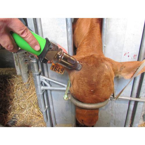 135G (EA) - Express Inline Dehorner w/ 1 Fuel Can