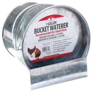 167611 (EA) - Galvanized Bucket Waterer--1 Gallon