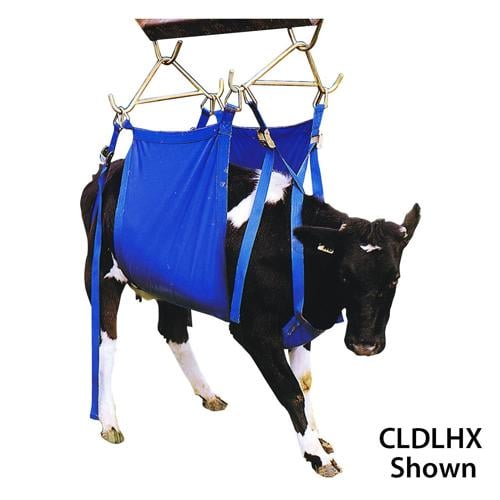 210144 (EA) - XL Daisy Heavy Duty Cow Lifter