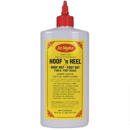 Dr. Naylor Liquid Hoof 'n' Heel--Pint